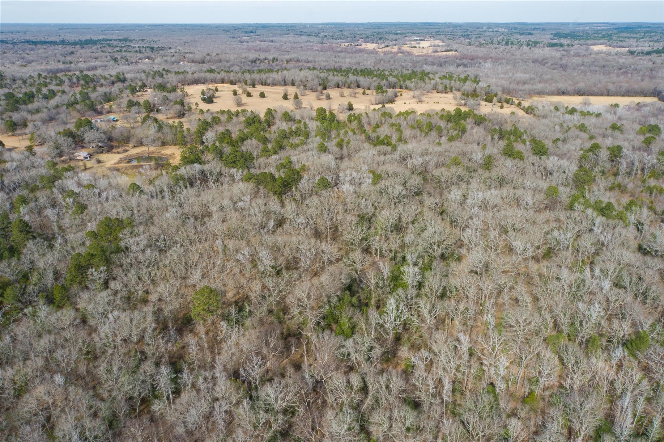 Tbd County Road 4917 Ben Wheeler TX 75754