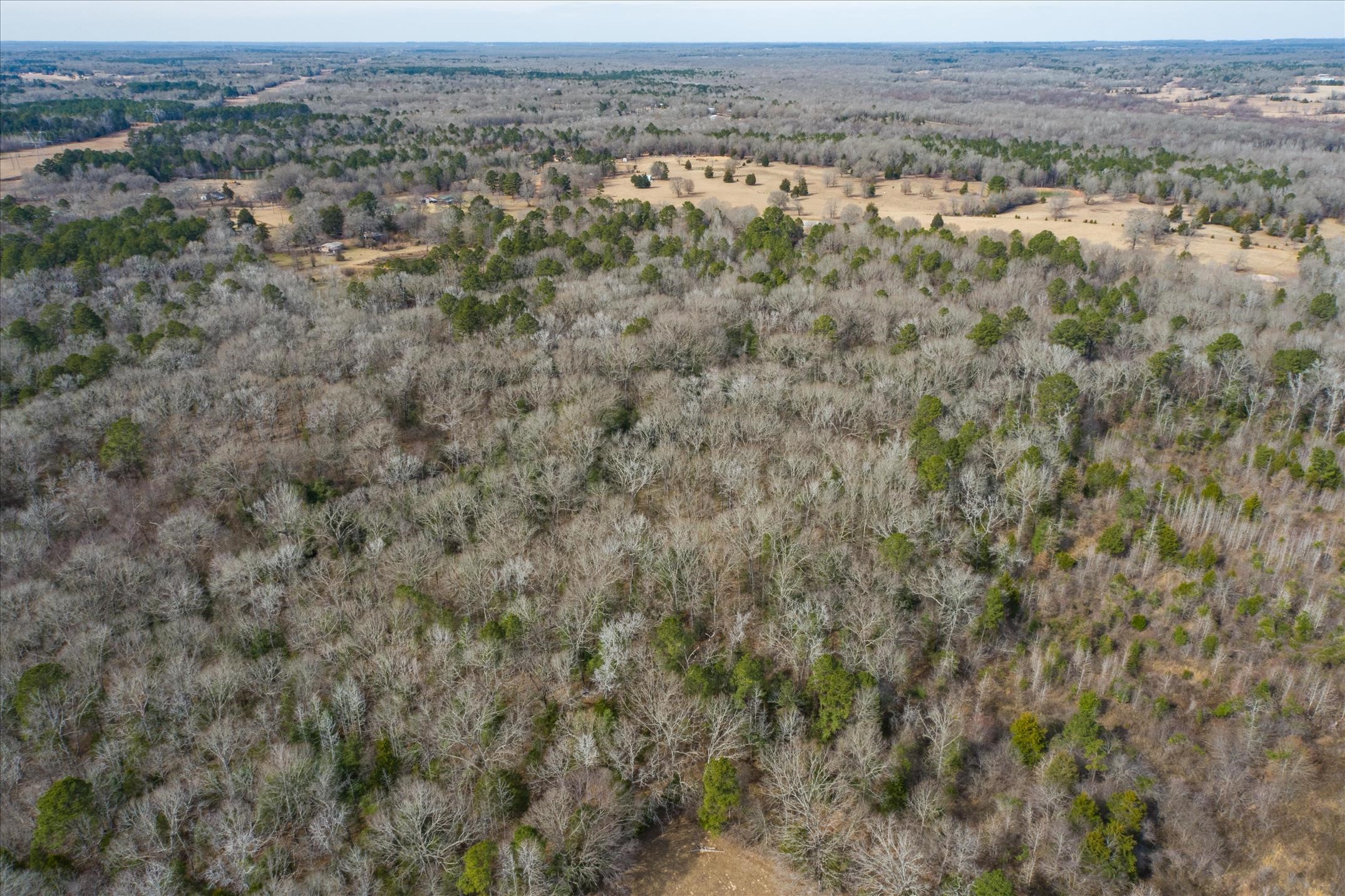 Tbd County Road 4917 Ben Wheeler TX 75754