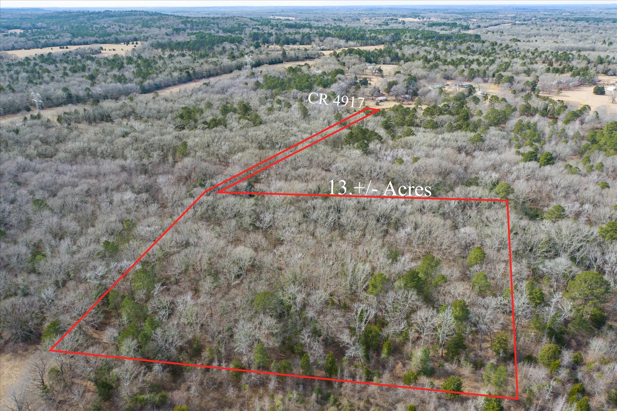 Tbd County Road 4917 Ben Wheeler TX 75754