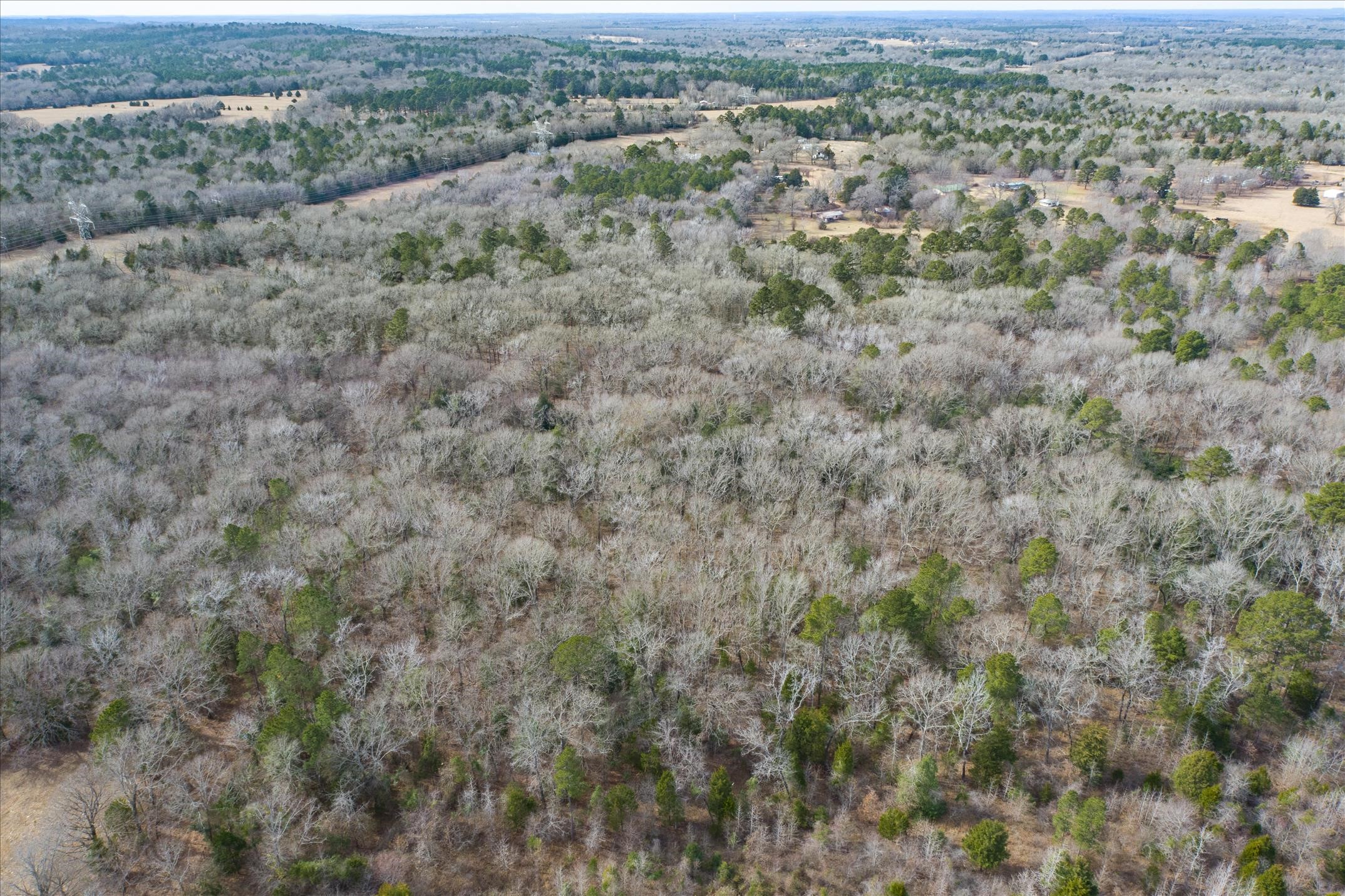 Tbd County Road 4917 Ben Wheeler TX 75754