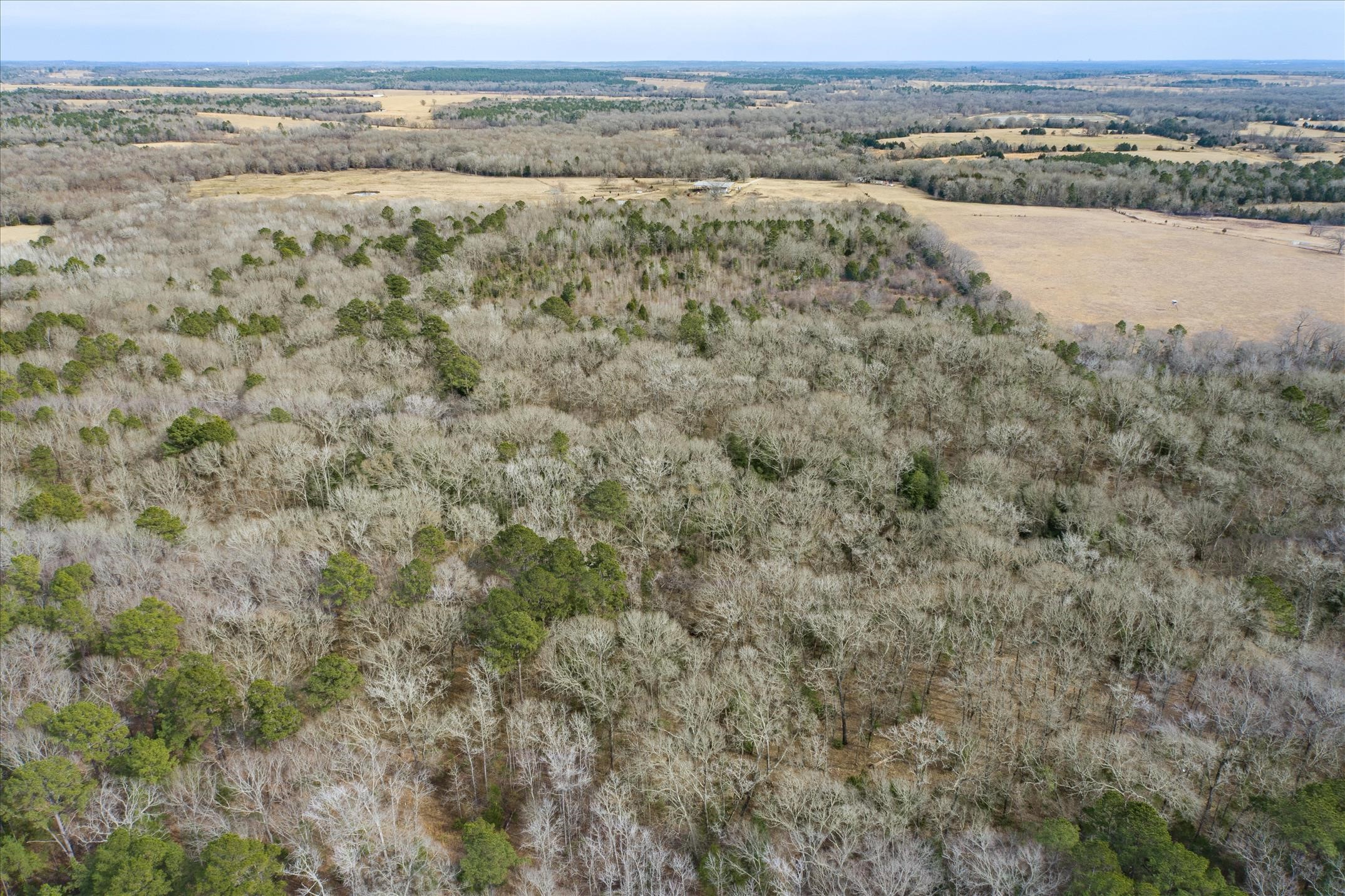 Tbd County Road 4917 Ben Wheeler TX 75754