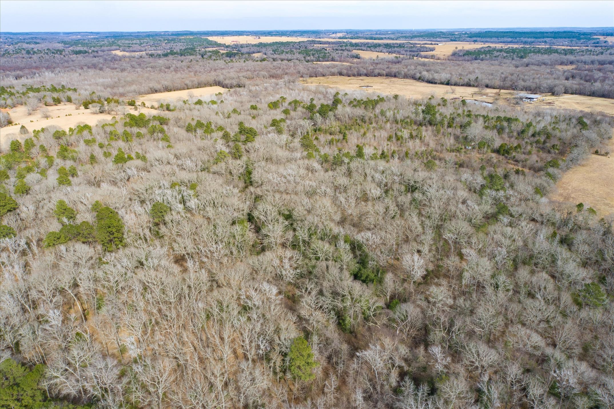 Tbd County Road 4917 Ben Wheeler TX 75754