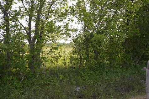 Tbd Lot 2 Rs County Road 1520 Point TX 75472