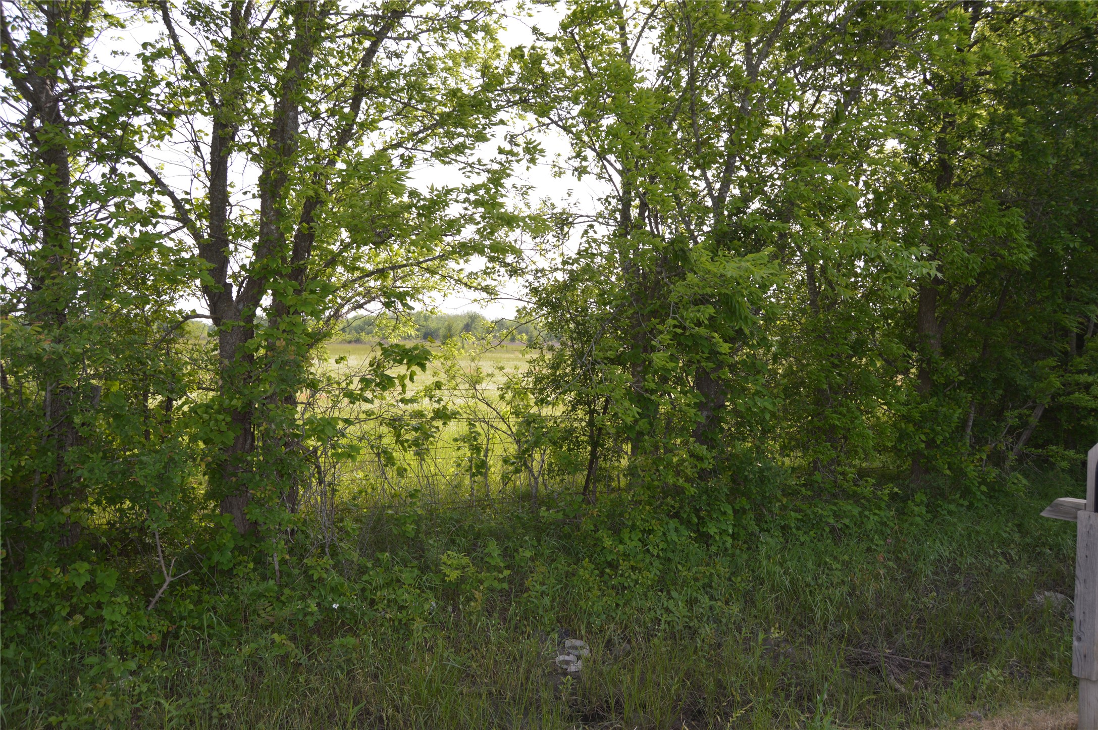 Tbd Lot 2 Rs County Road 1520 Point TX 75472