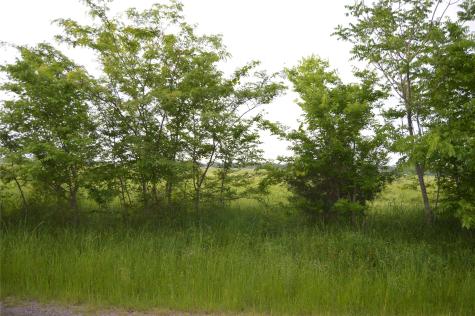 Tbd Lot 2 Rs County Road 1520 Point TX 75472