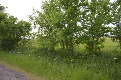Tbd Lot 2 Rs County Road 1520 Point TX 75472