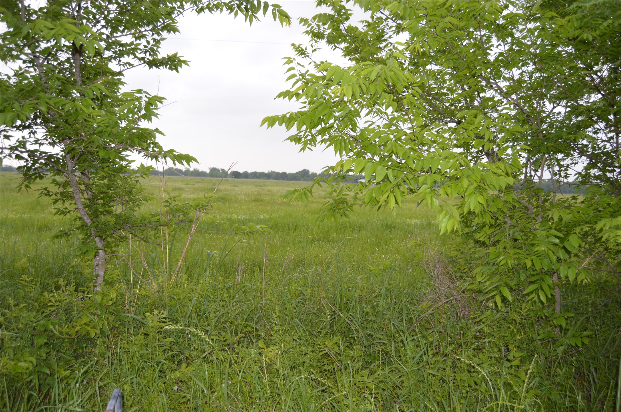 Tbd Lot 2 Rs County Road 1520 Point TX 75472