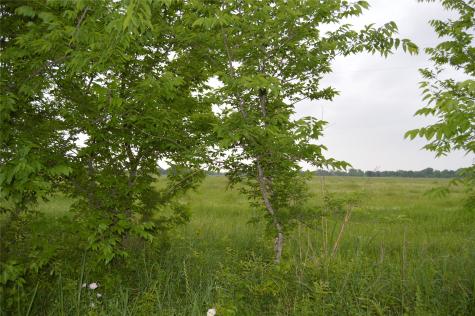 Tbd Lot 2 Rs County Road 1520 Point TX 75472