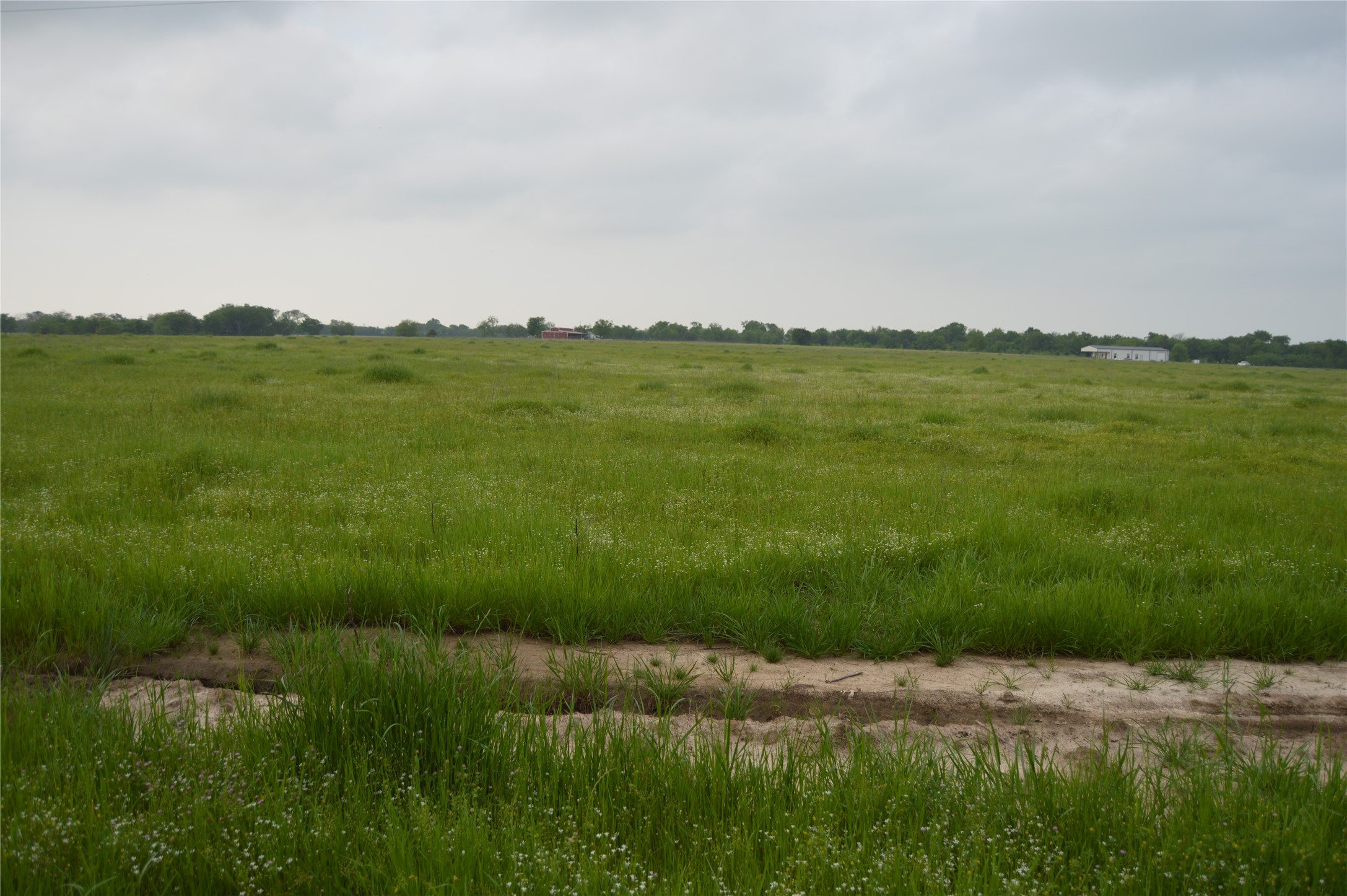 Tbd Lot 2 Rs County Road 1520 Point TX 75472
