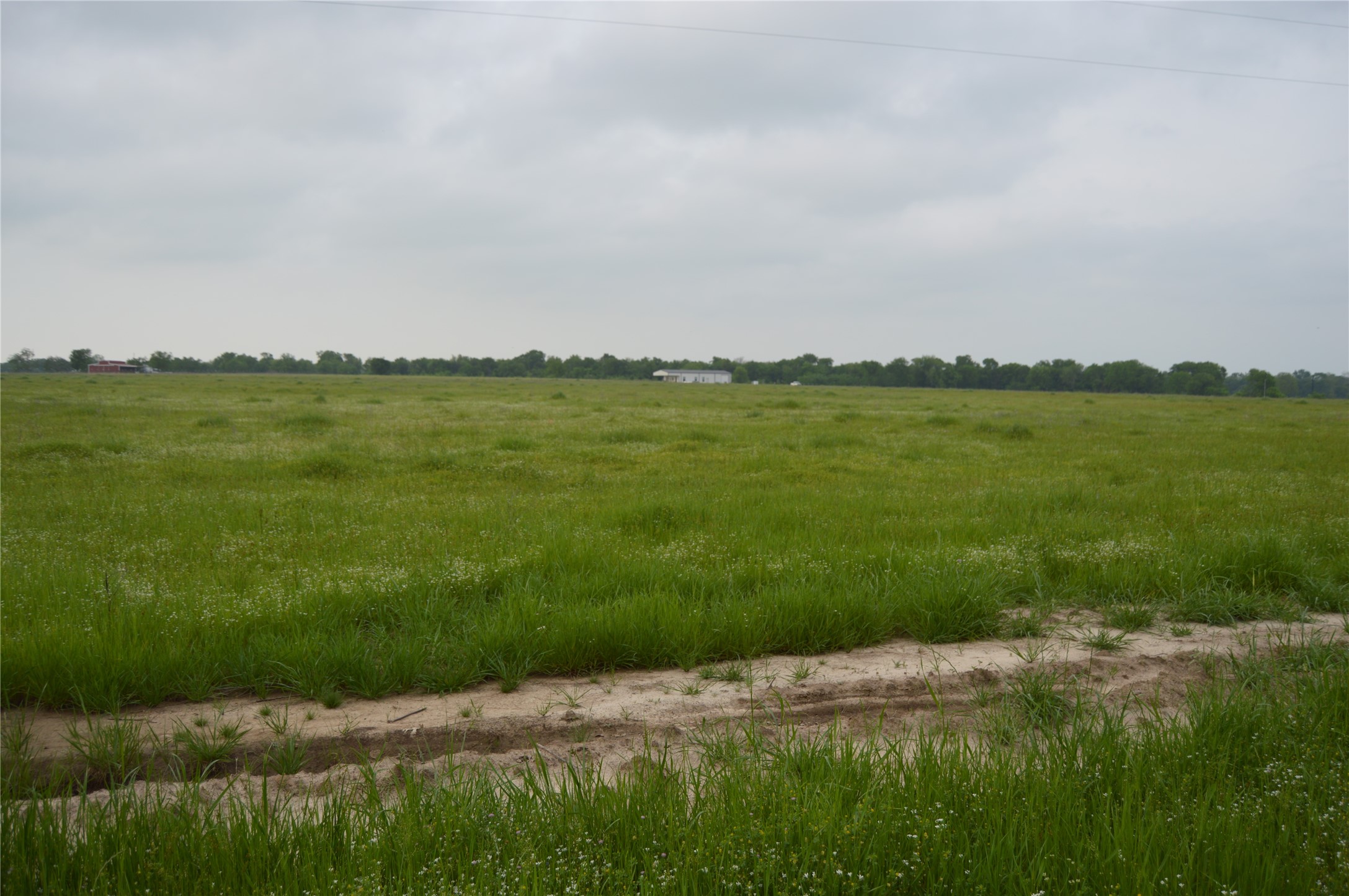 Tbd Lot 2 Rs County Road 1520 Point TX 75472