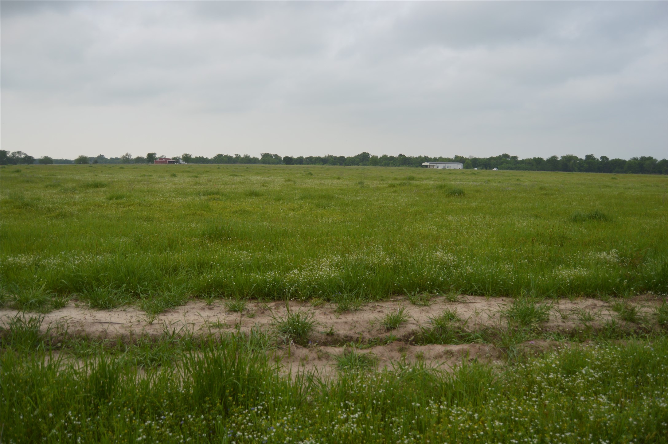 Tbd Lot 2 Rs County Road 1520 Point TX 75472