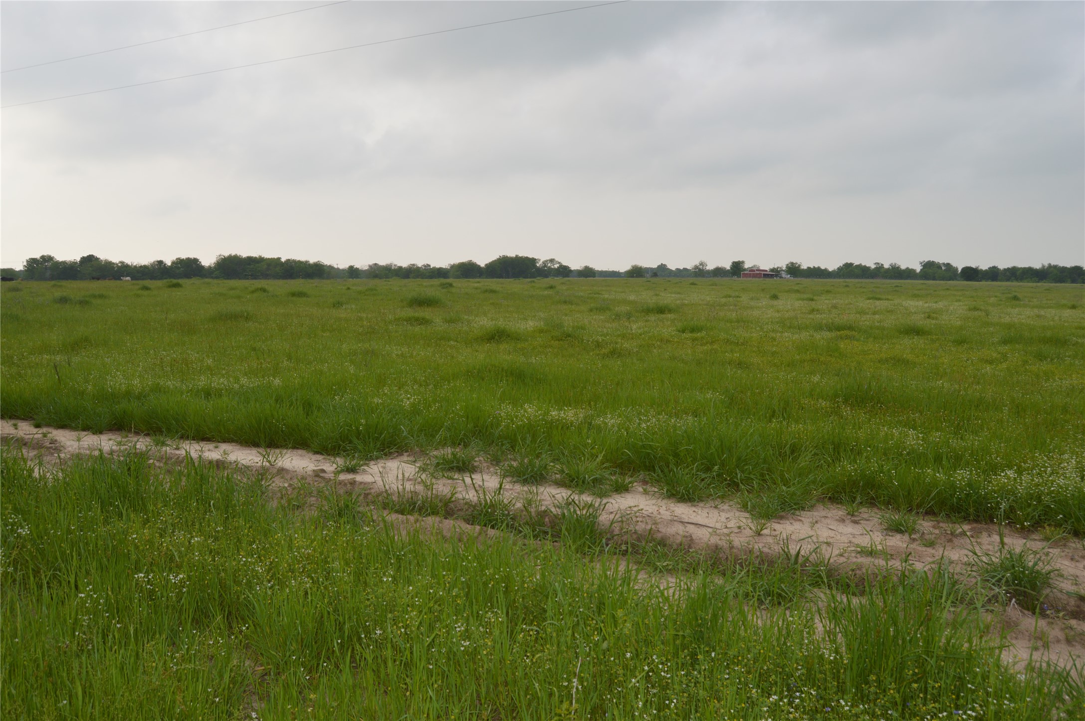 Tbd Lot 2 Rs County Road 1520 Point TX 75472