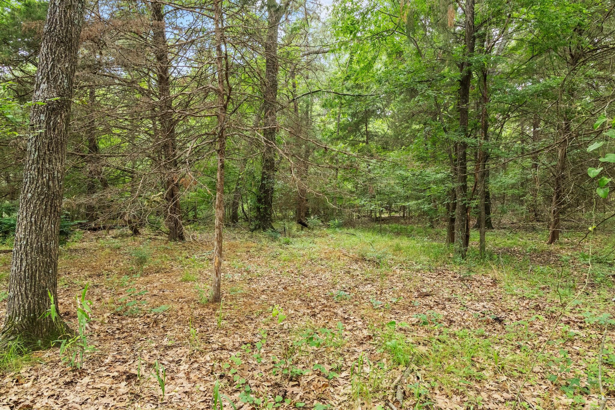0000 Cr 2680 Bonham TX 75418