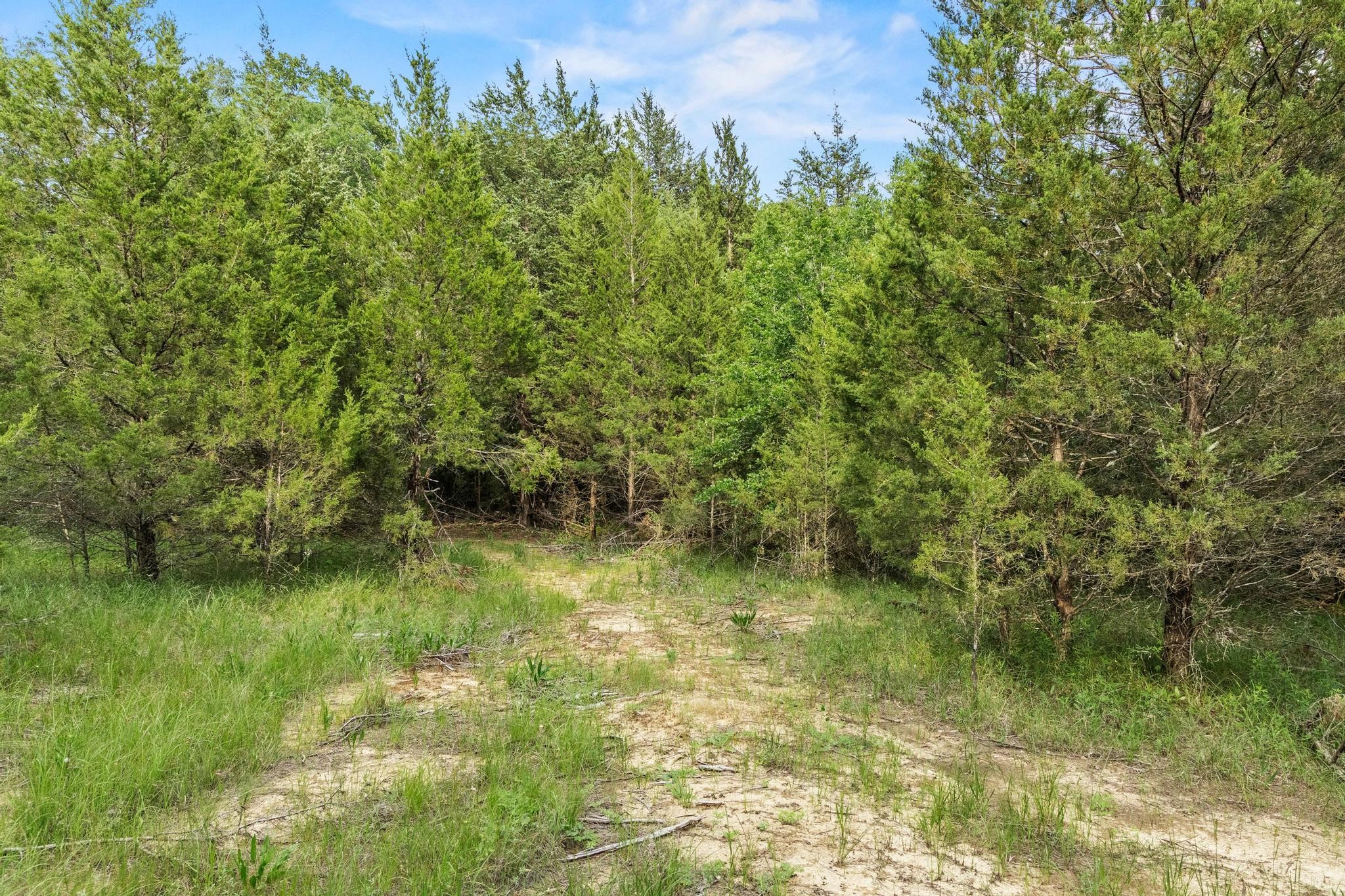 0000 Cr 2680 Bonham TX 75418