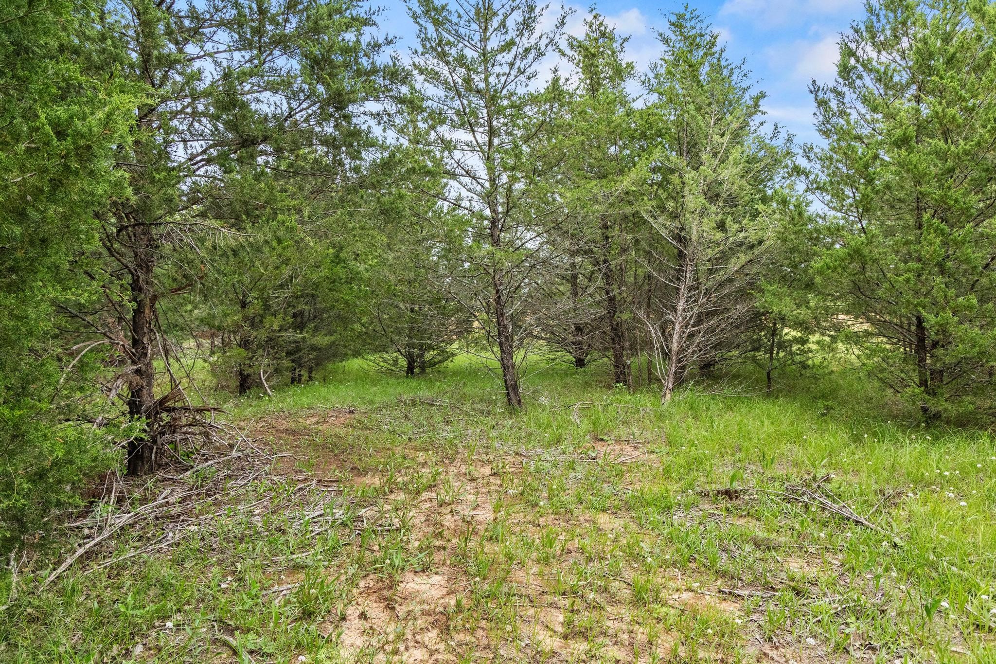 0000 Cr 2680 Bonham TX 75418