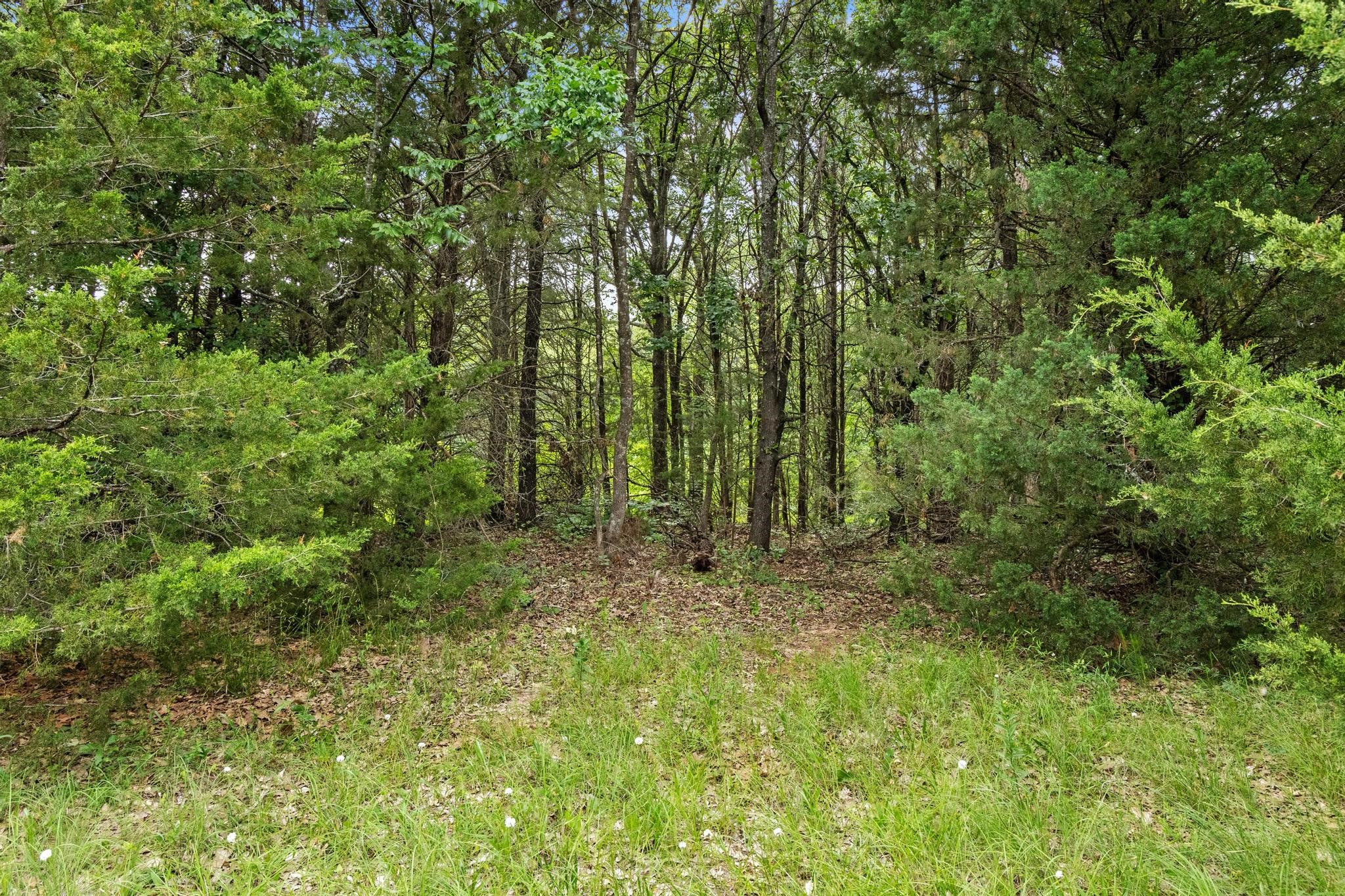 0000 Cr 2680 Bonham TX 75418