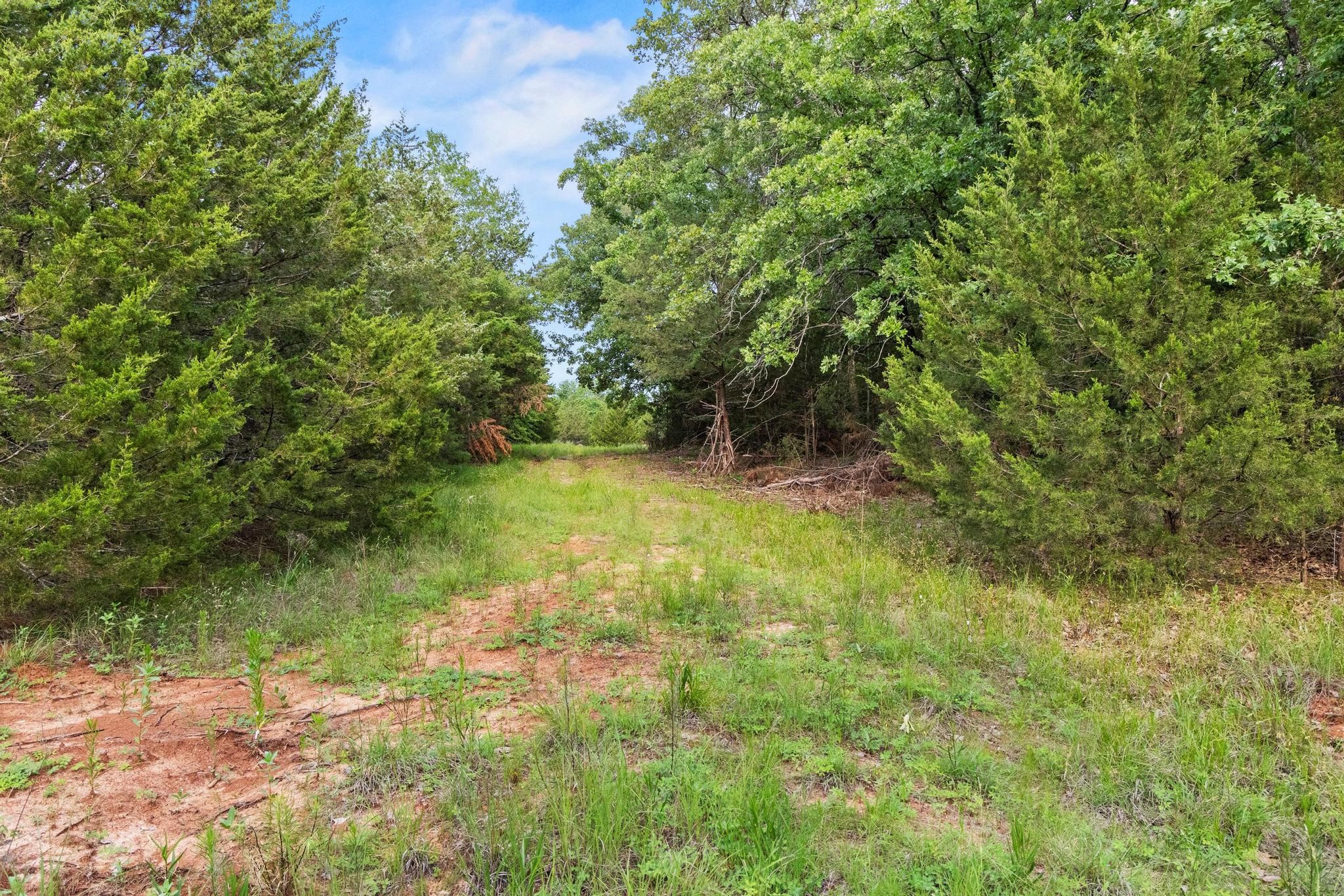 0000 Cr 2680 Bonham TX 75418