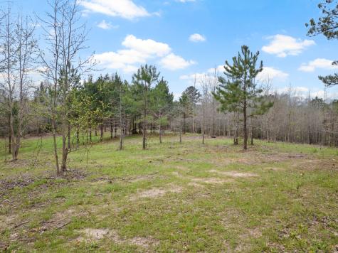 TBD Cr 2920 Hughes Springs TX 75656