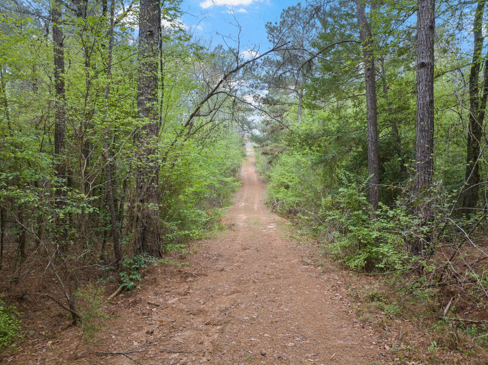 Tbd Cr 2920 Hughes Springs TX 75656