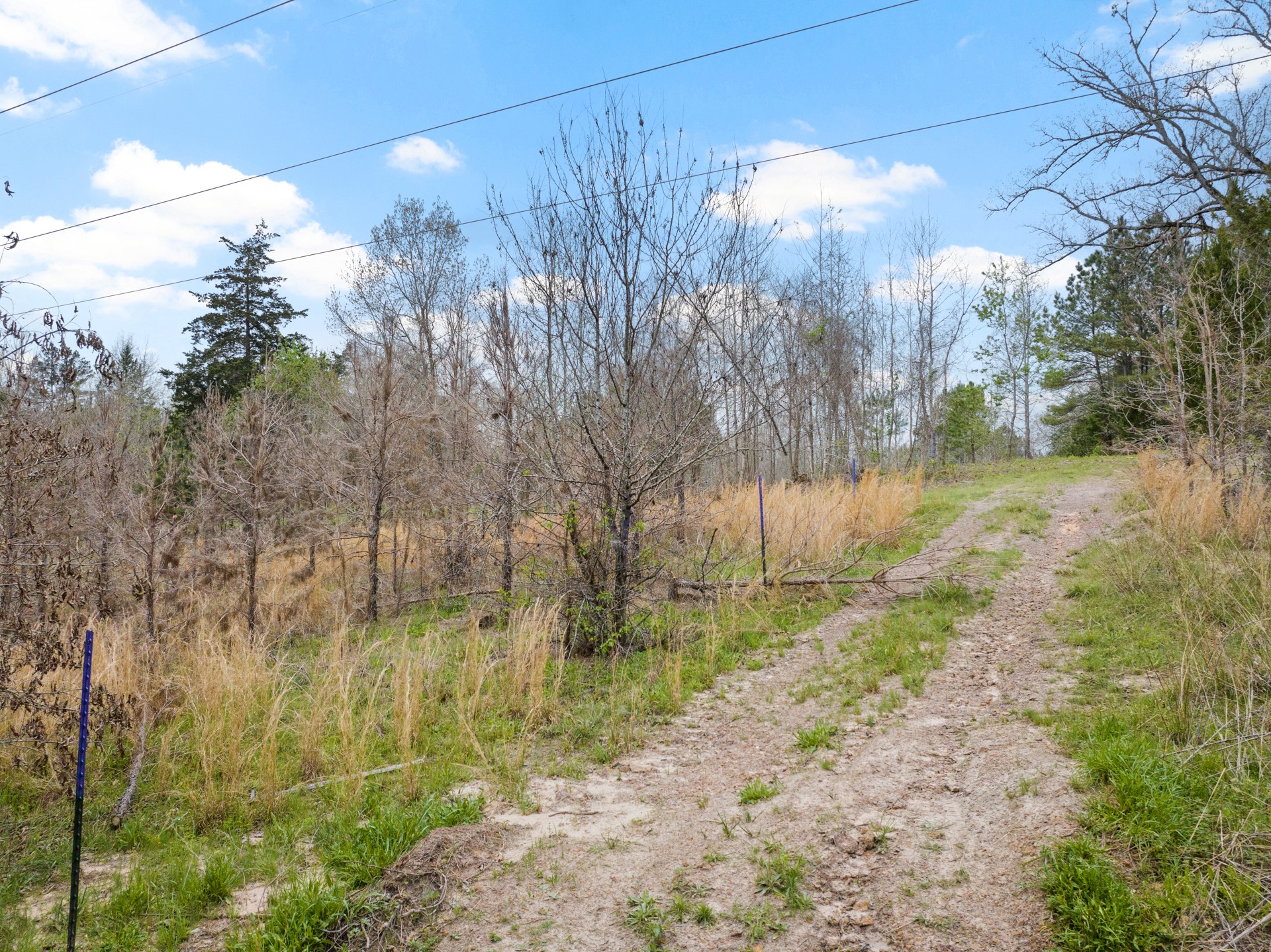 Tbd Cr 2920 Hughes Springs TX 75656