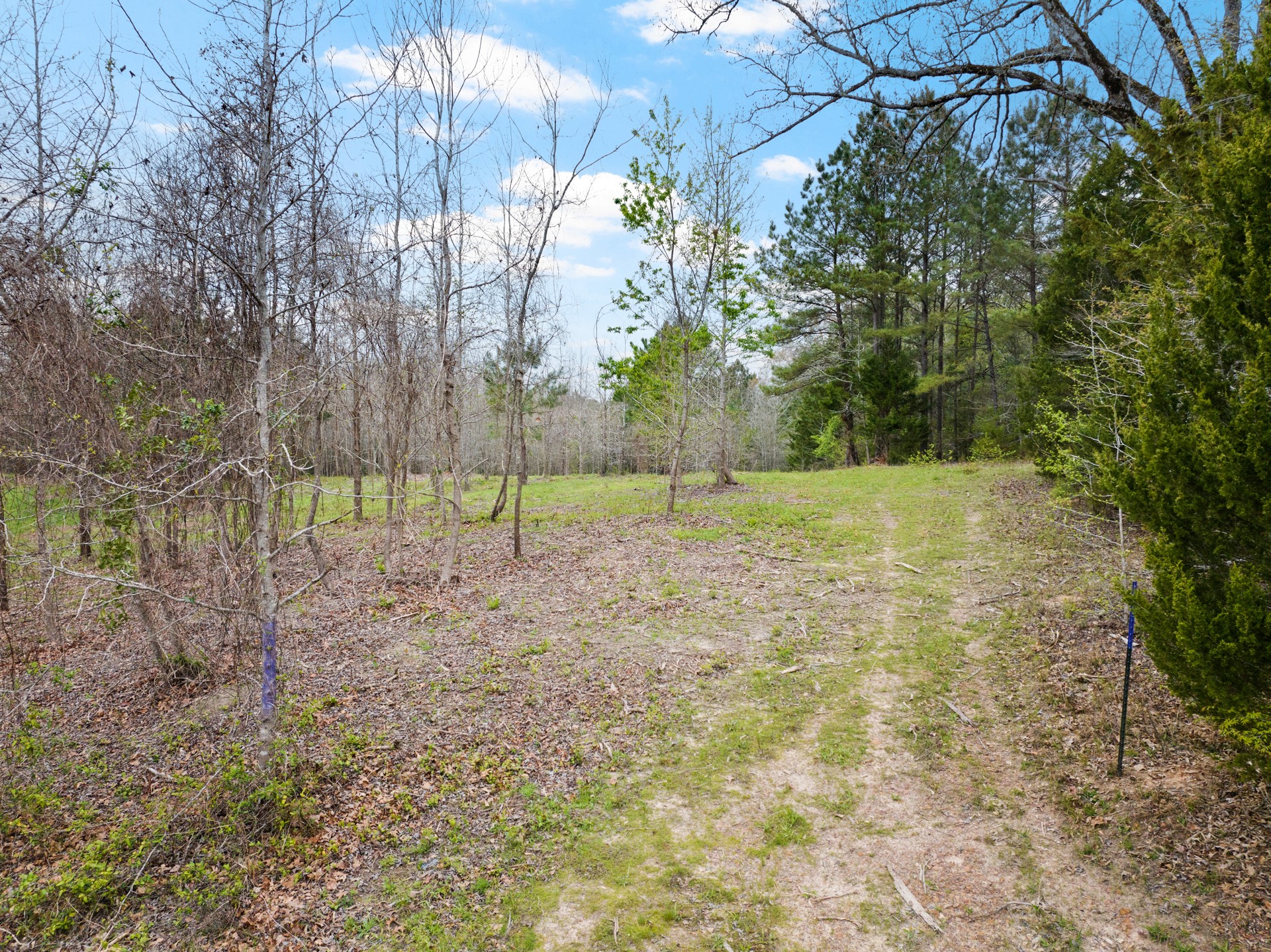 Tbd Cr 2920 Hughes Springs TX 75656