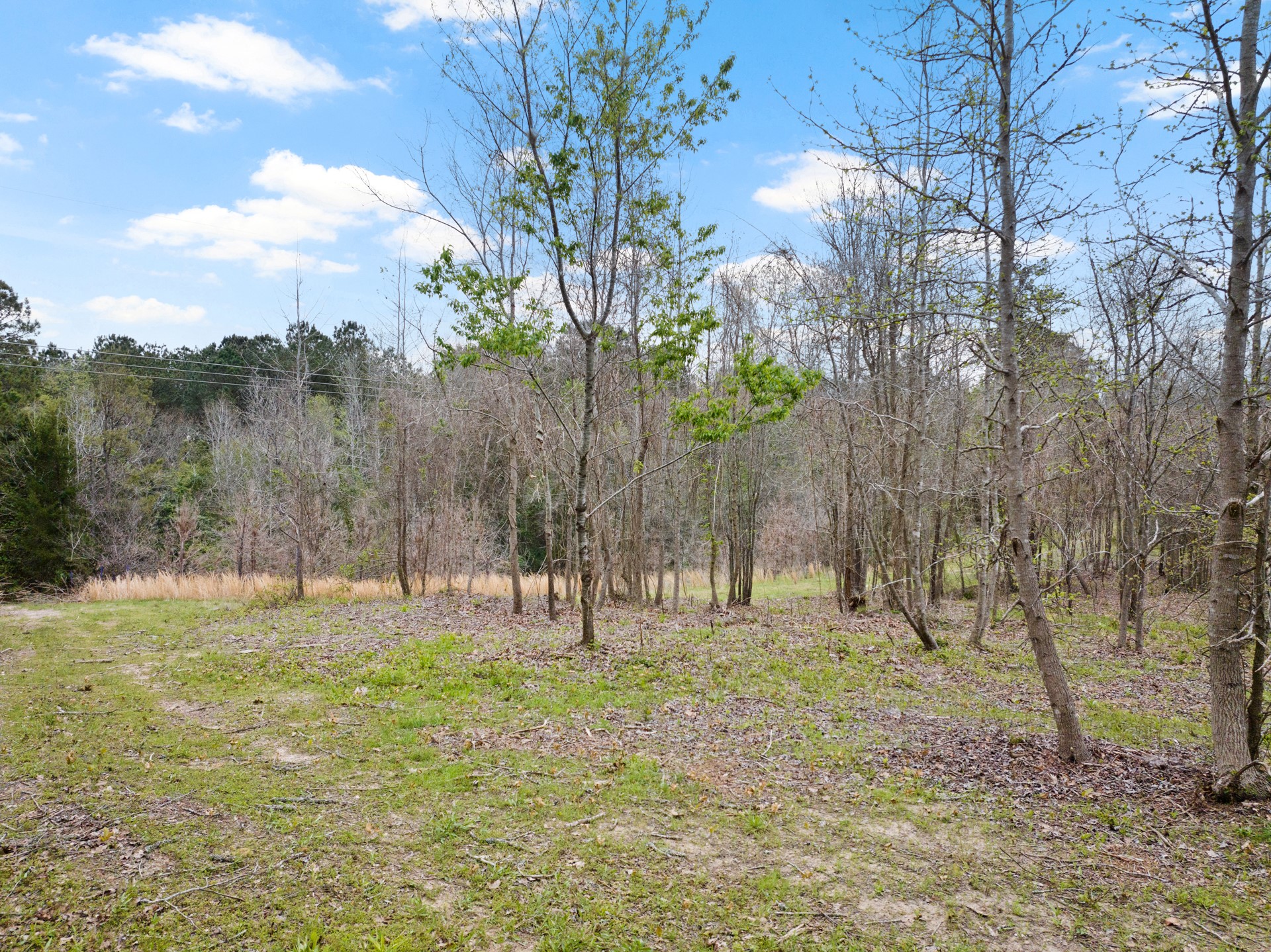 Tbd Cr 2920 Hughes Springs TX 75656