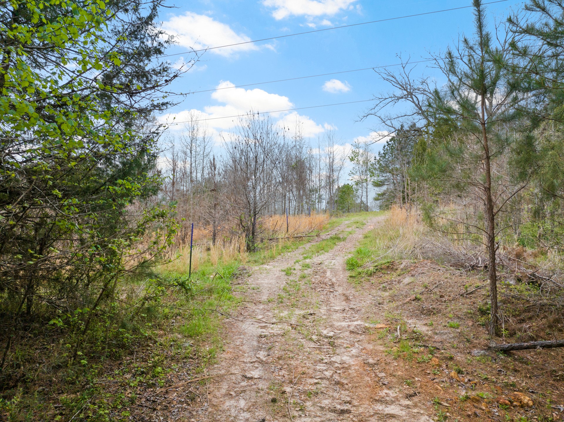 Tbd Cr 2920 Hughes Springs TX 75656