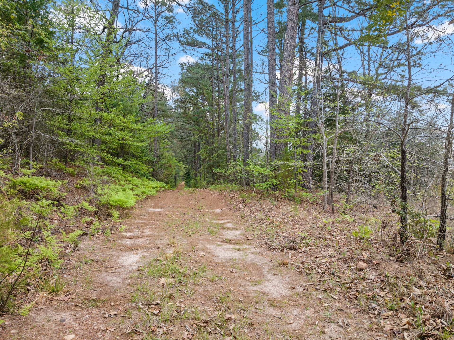 Tbd Cr 2920 Hughes Springs TX 75656