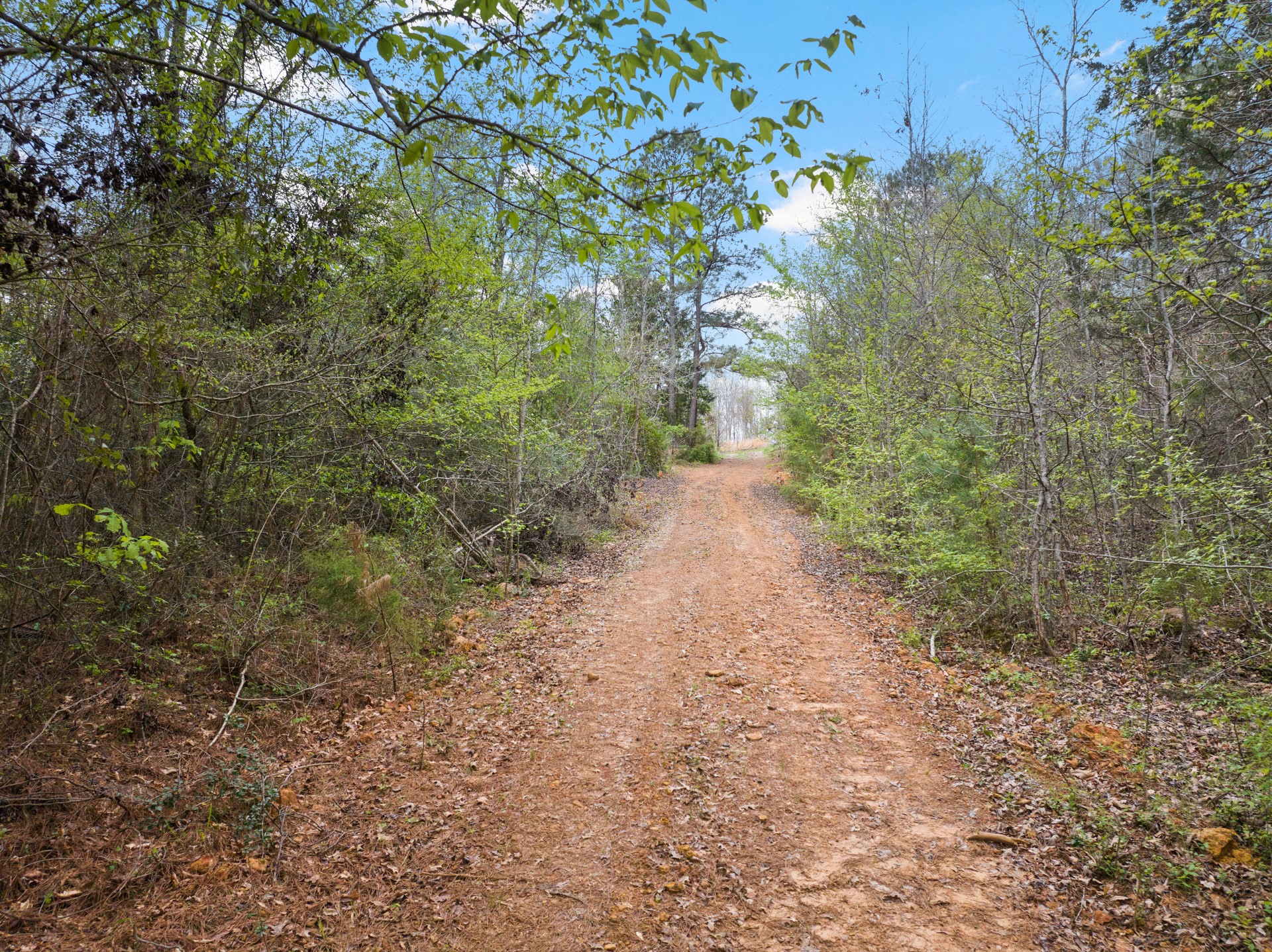 Tbd Cr 2920 Hughes Springs TX 75656