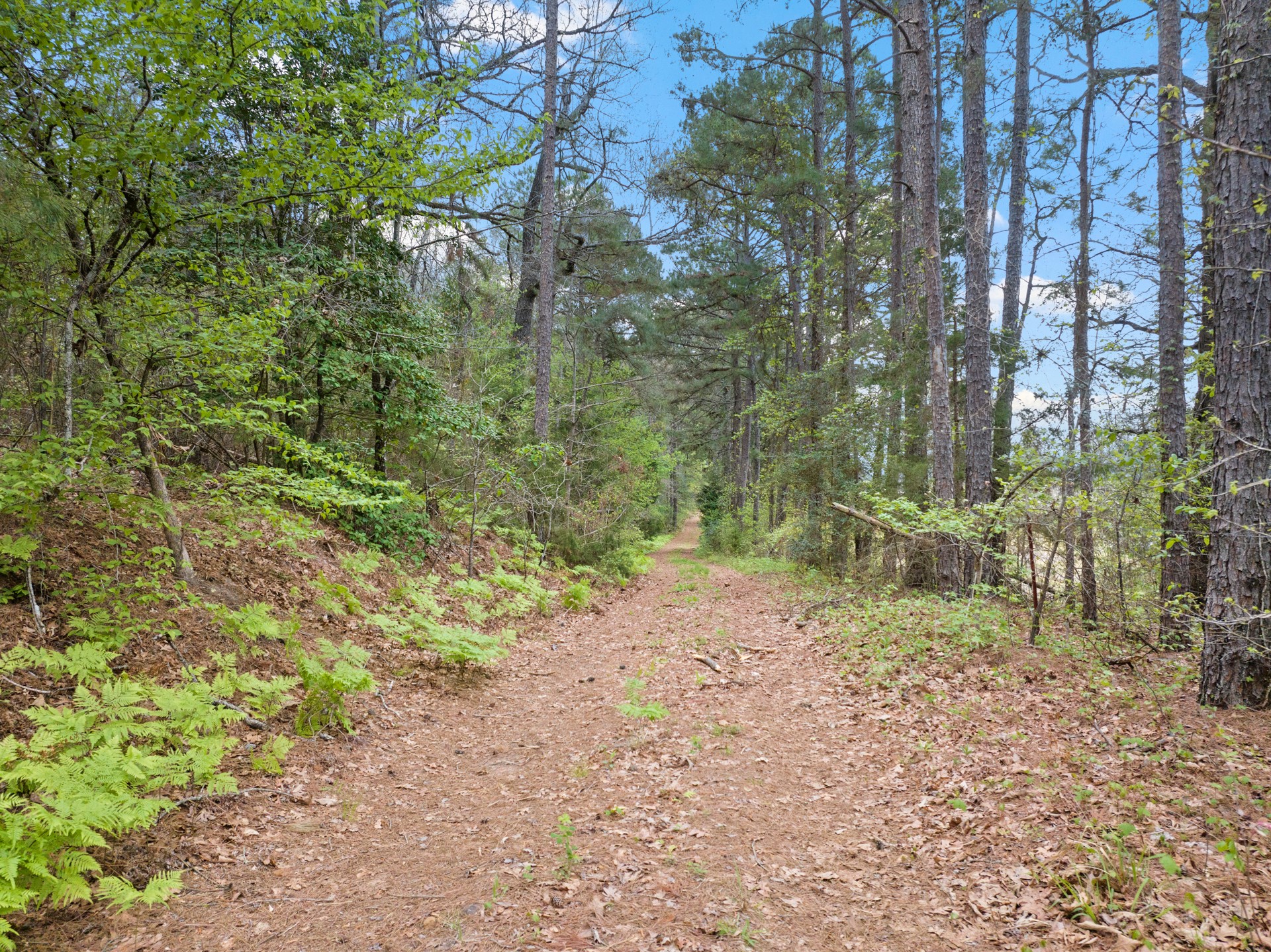 Tbd Cr 2920 Hughes Springs TX 75656