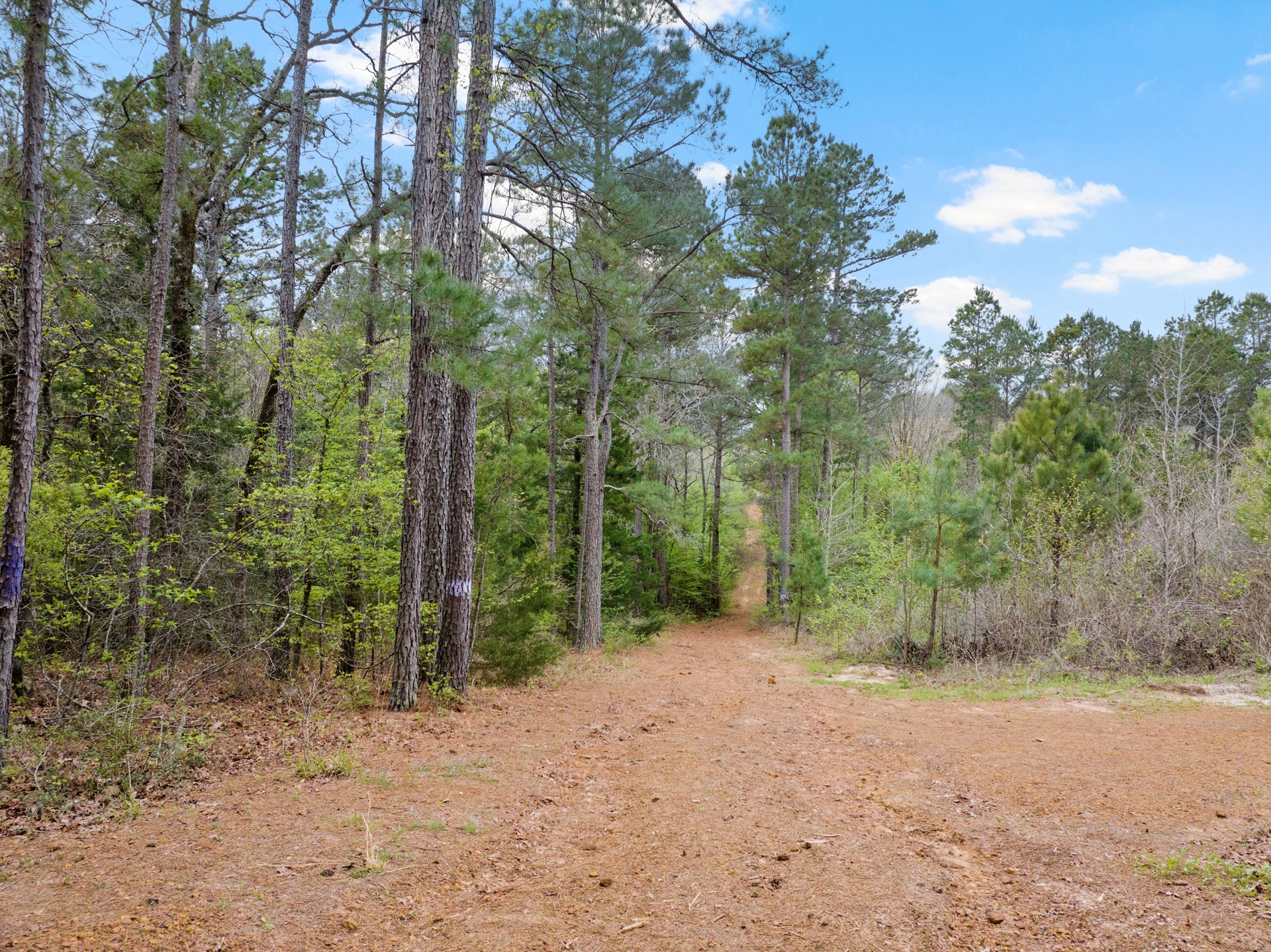 Tbd Cr 2920 Hughes Springs TX 75656