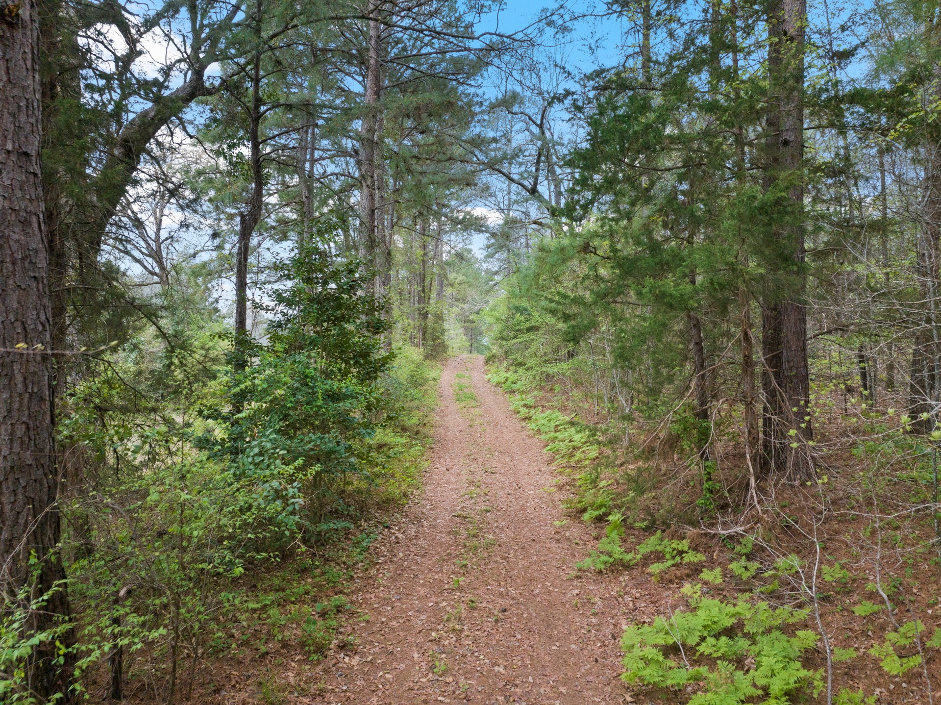 Tbd Cr 2920 Hughes Springs TX 75656