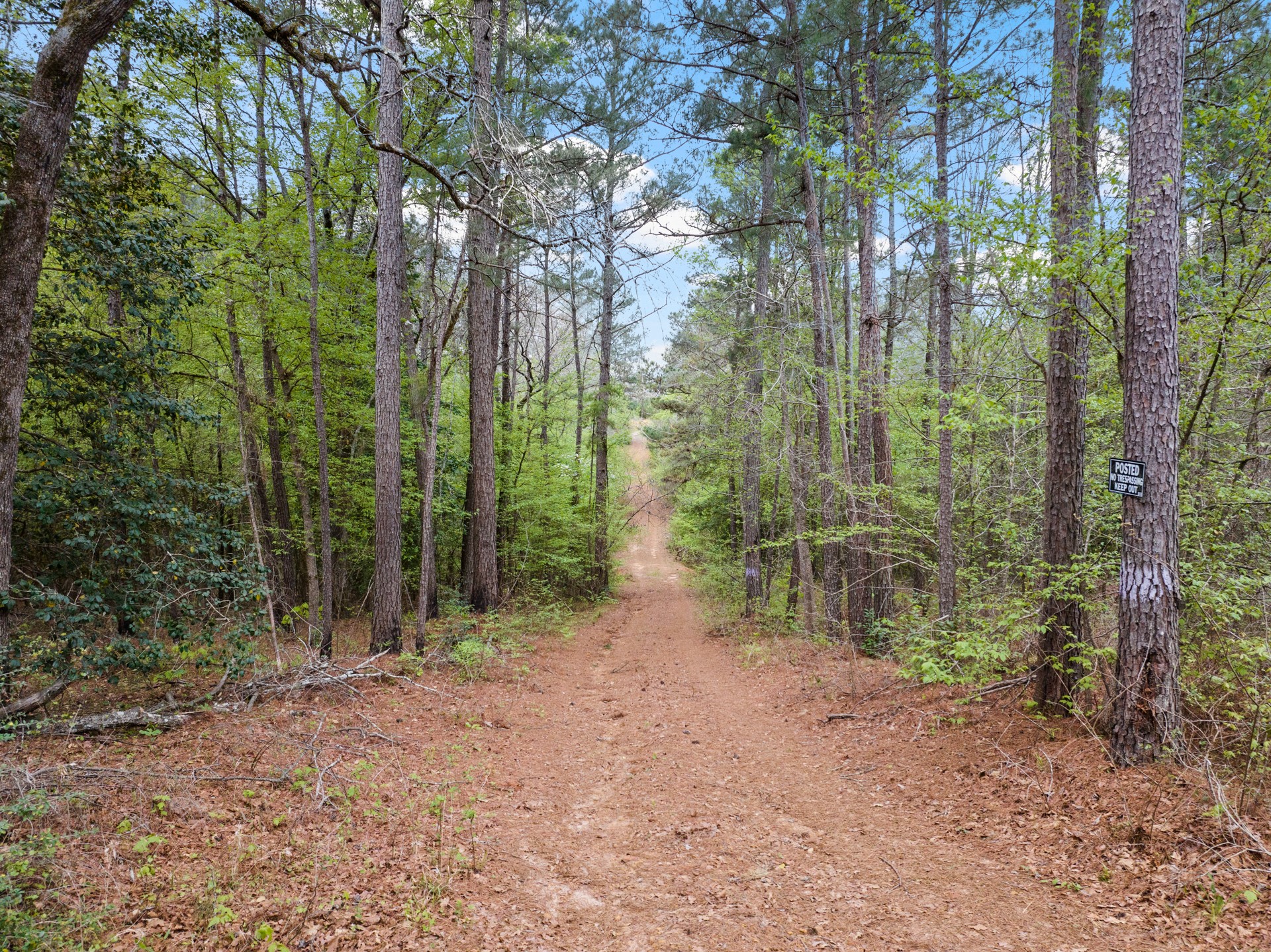 Tbd Cr 2920 Hughes Springs TX 75656