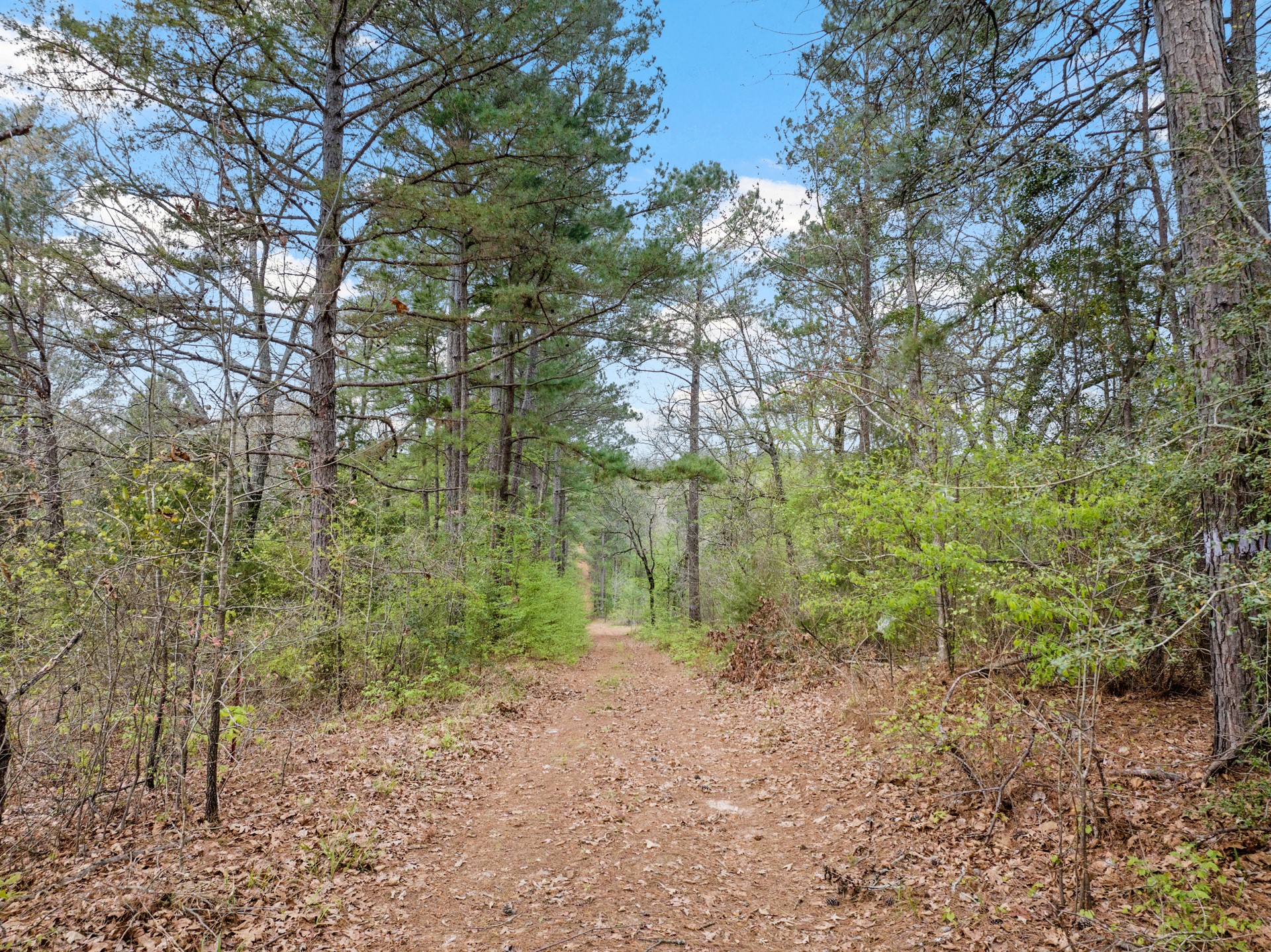 Tbd Cr 2920 Hughes Springs TX 75656
