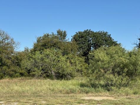 31033 Doe Run Court Whitney TX 76692
