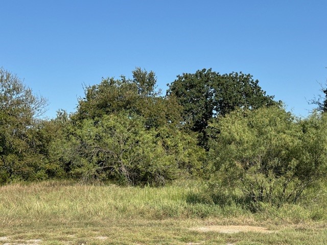 31033 Doe Run Court Whitney TX 76692