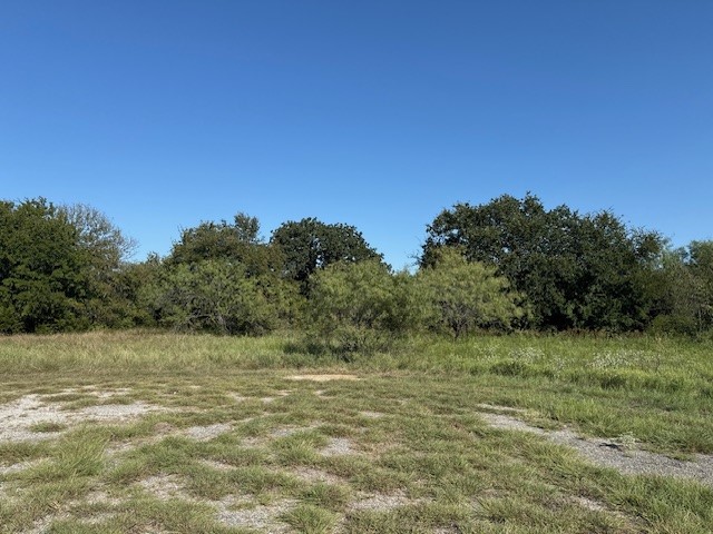 31033 Doe Run Court Whitney TX 76692