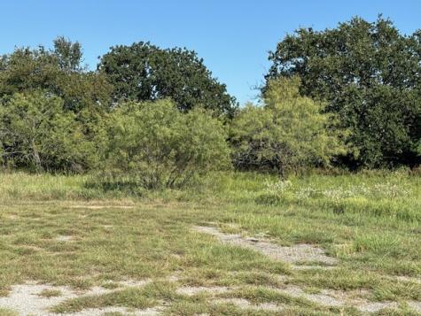 31033 Doe Run Court Whitney TX 76692