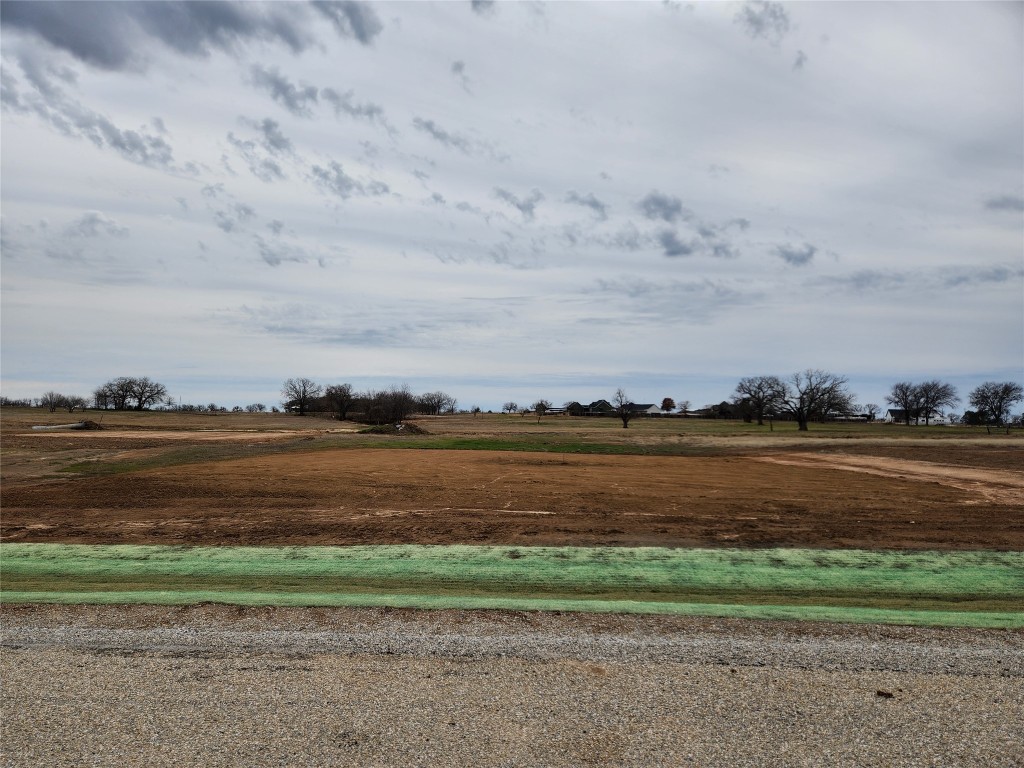 151 Lonicera Lane Paradise TX 76073