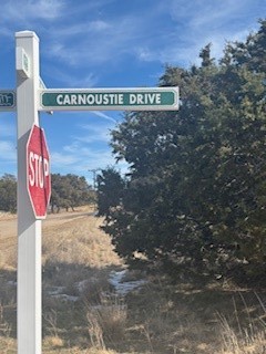 Carnoustie Drive Carnoustie Graford TX 76449