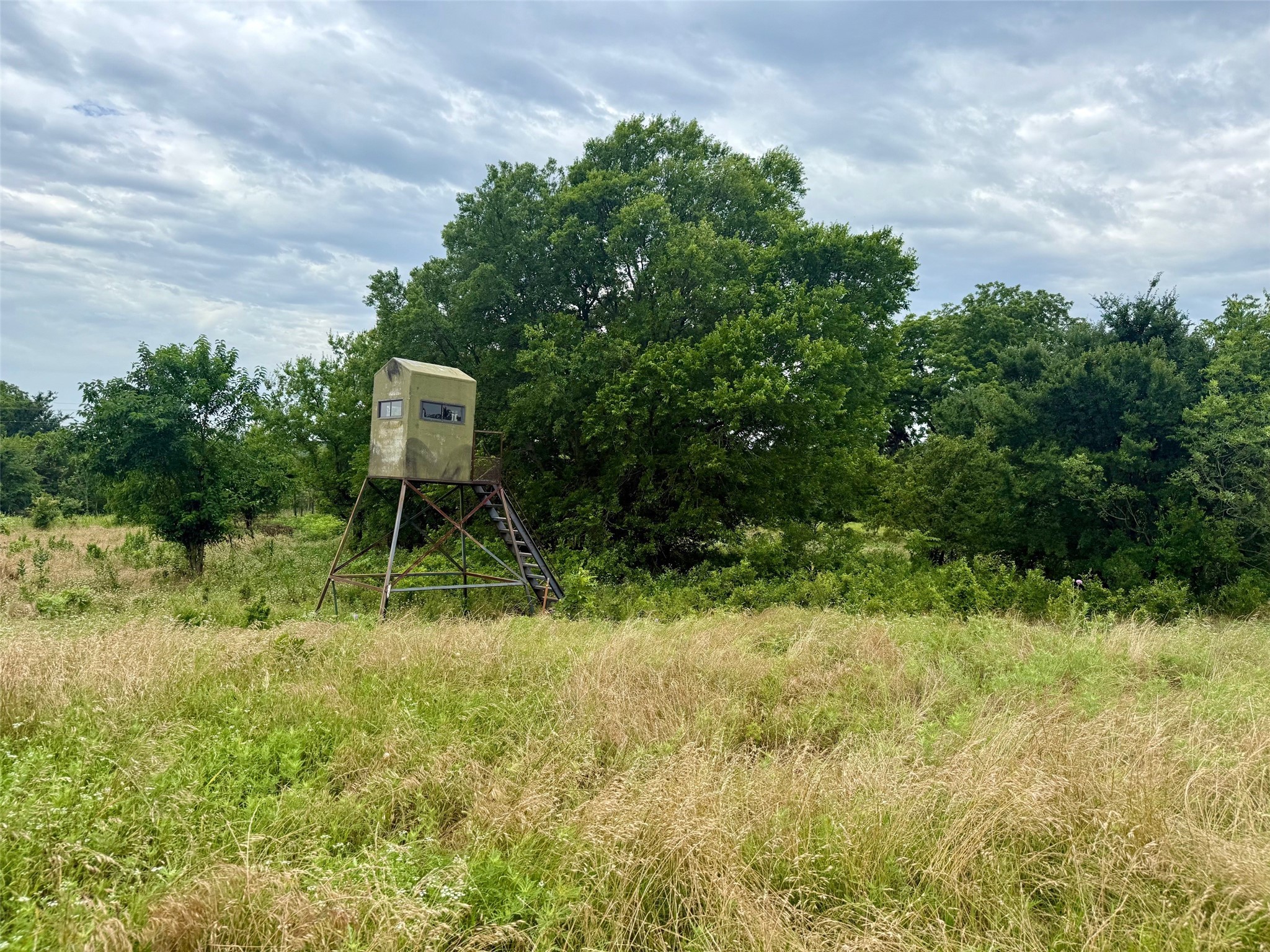Tbd County Road 104 Whitesboro TX 76273