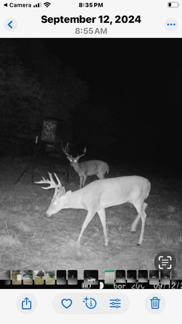 Tbd County Road 104 Whitesboro TX 76273
