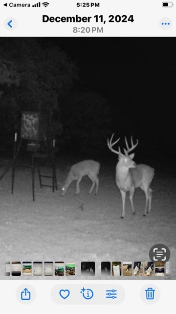 Tbd County Road 104 Whitesboro TX 76273