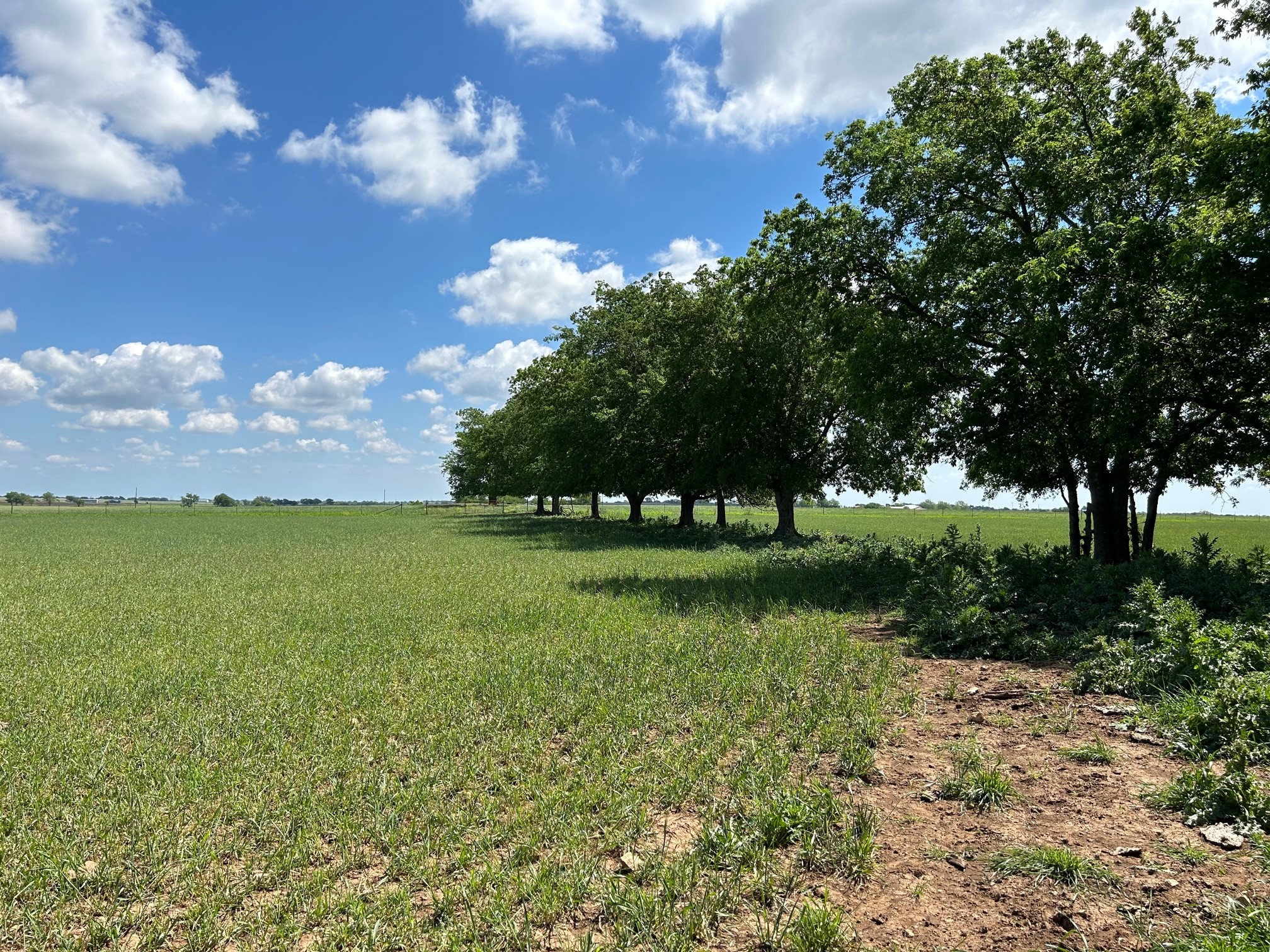 4655 E Fm 217 Valley Mills TX 76689