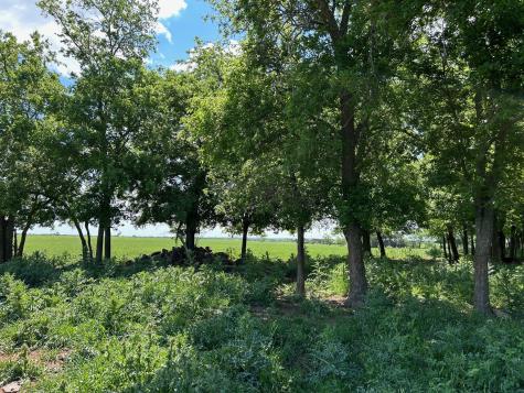 4655 E Fm 217 Valley Mills TX 76689