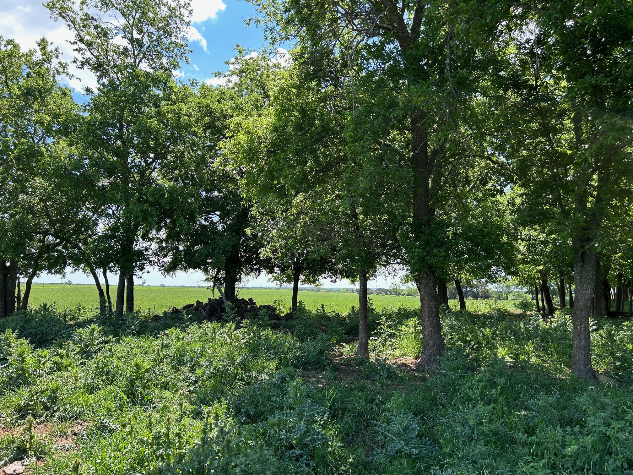 4655 E Fm 217 Valley Mills TX 76689