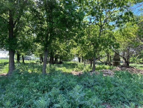 4655 E Fm 217 Valley Mills TX 76689