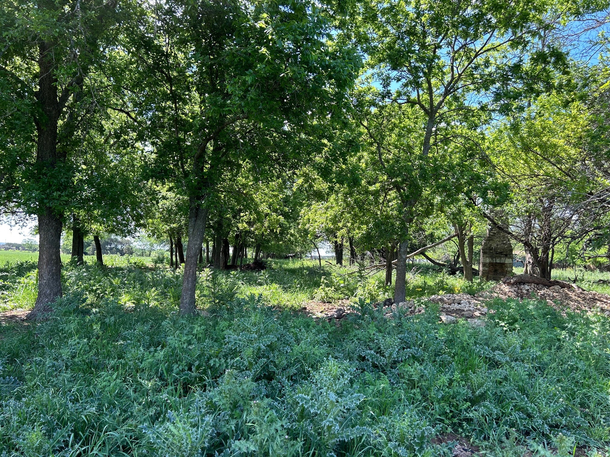 4655 E Fm 217 Valley Mills TX 76689