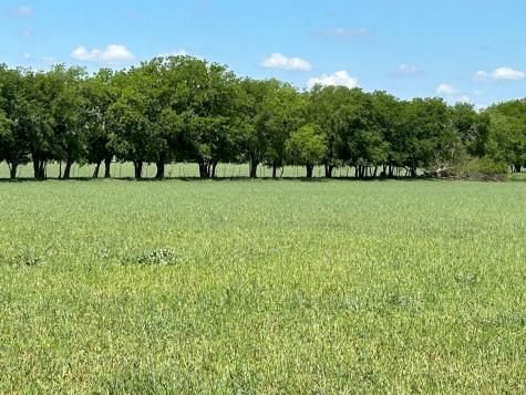 4655 E Fm 217 Valley Mills TX 76689