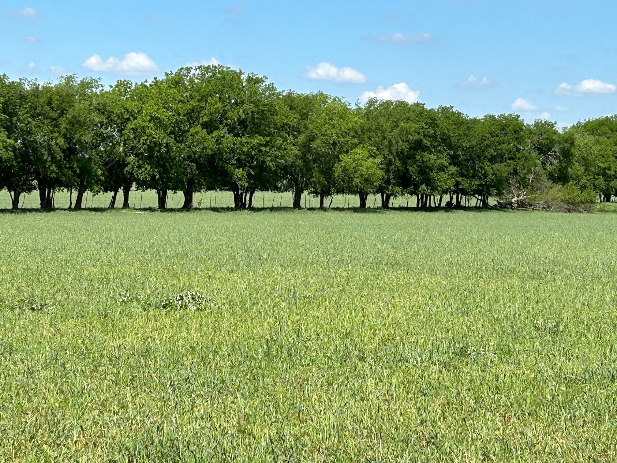 4655 E Fm 217 Valley Mills TX 76689